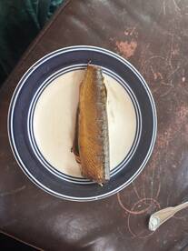 Kittery Report Photo 2