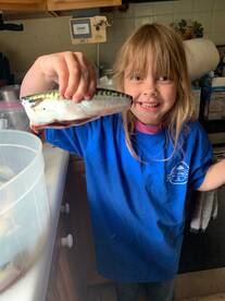 Kittery Report Photo 1