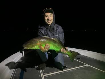 Milton Report Photo 2