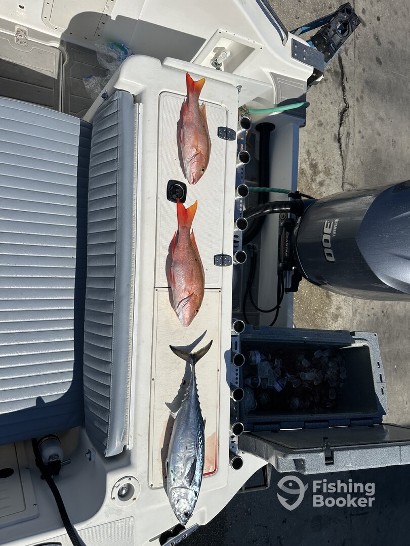 Homestead Report Photo 0