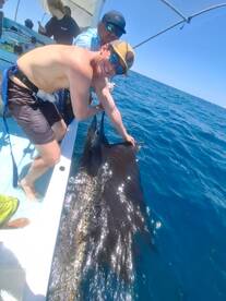 Playa Hermosa Report Photo 1