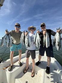 Sheepshead are chewing 