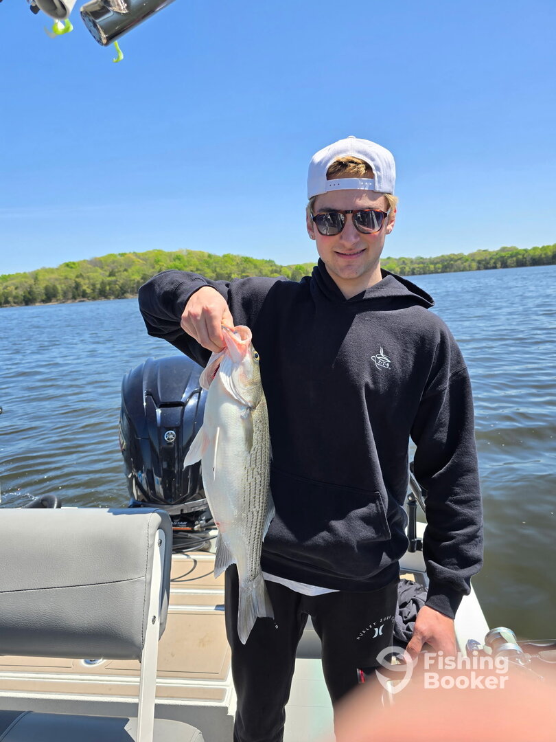 Nashville Report Photo 0