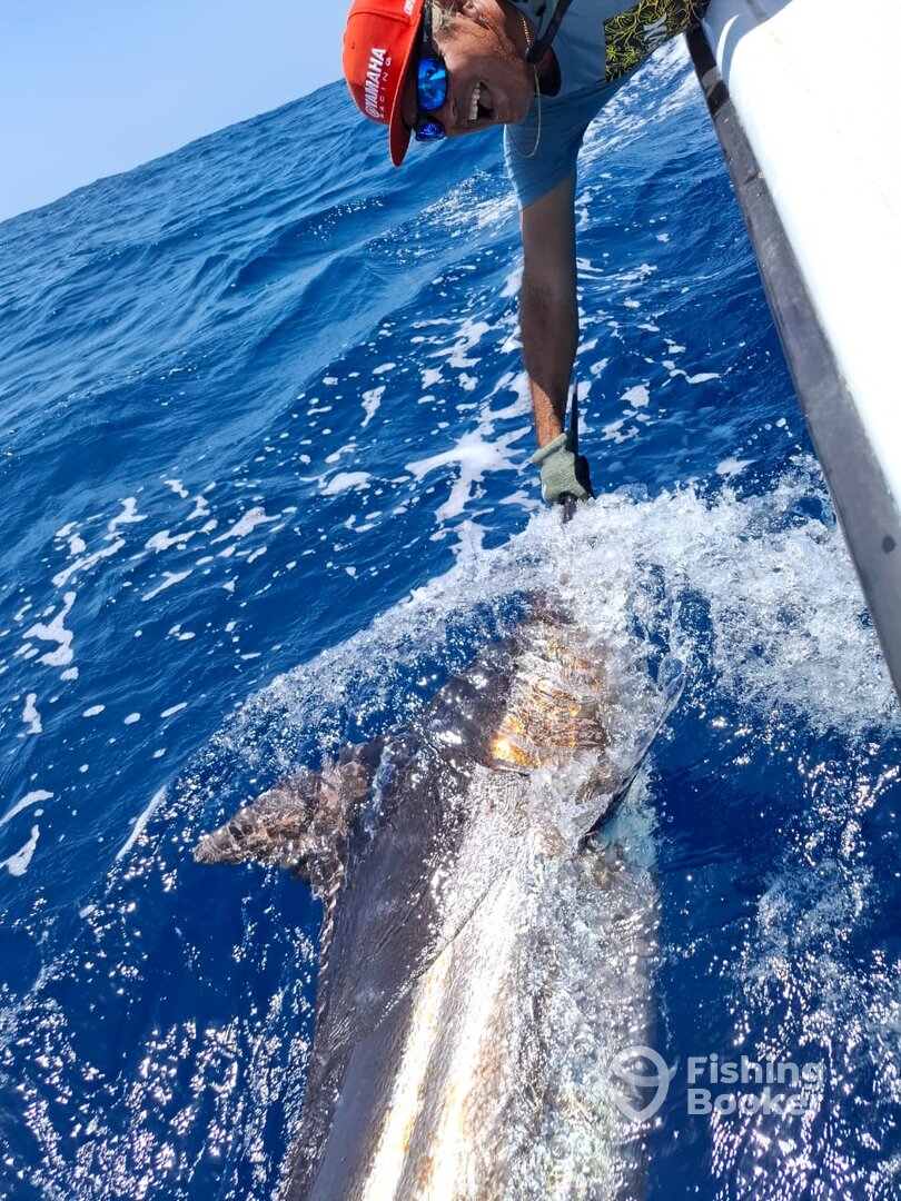 Tamarindo Report Photo 0