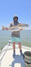 Big bull reds are here!