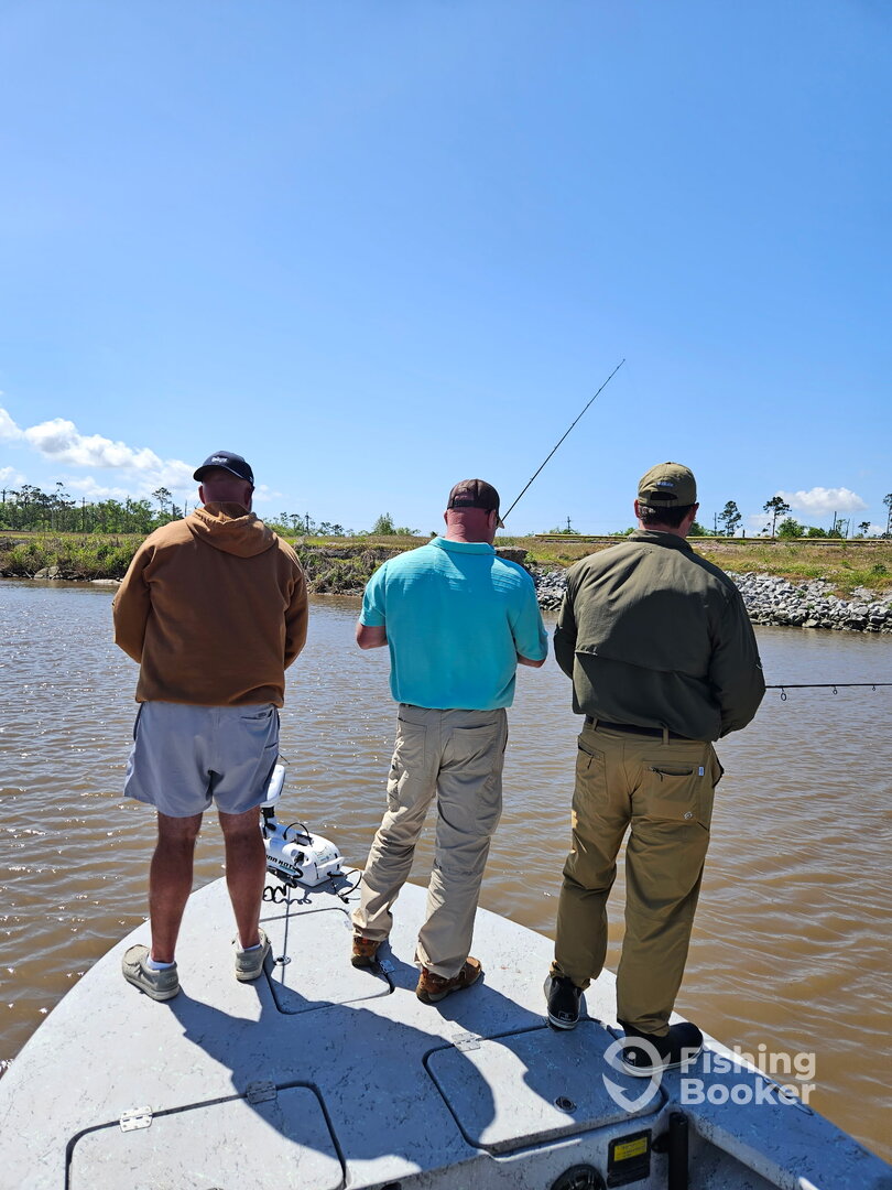 Sulphur Report Photo 0