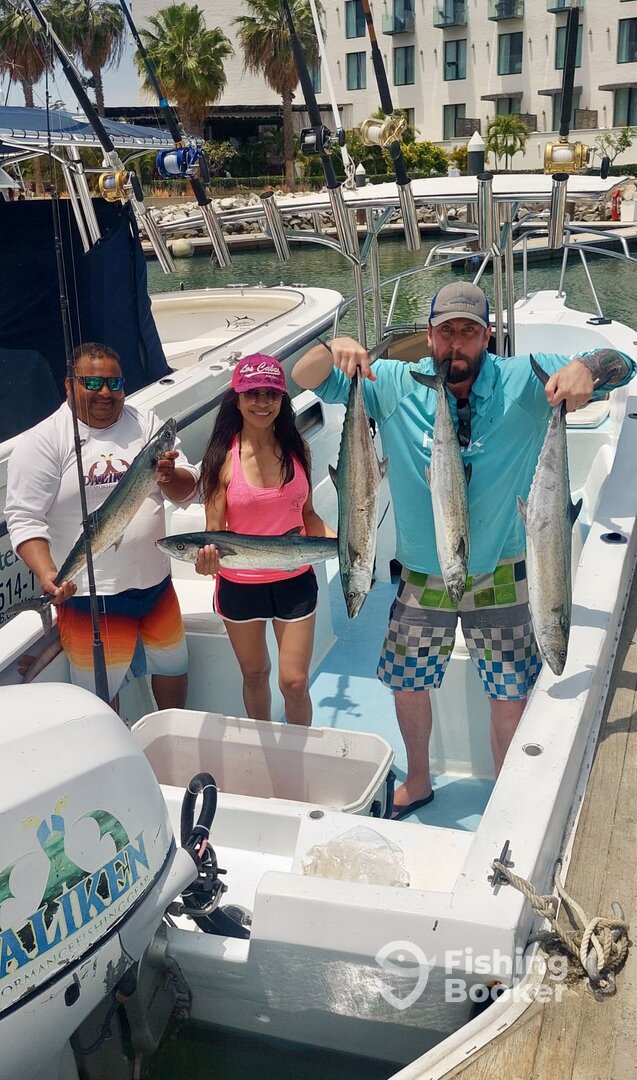 San Jose del Cabo Report Photo 0