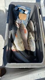 Great Morning, Big Fish, and Plenty of A