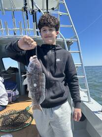 Virginia Beach Report Photo 2