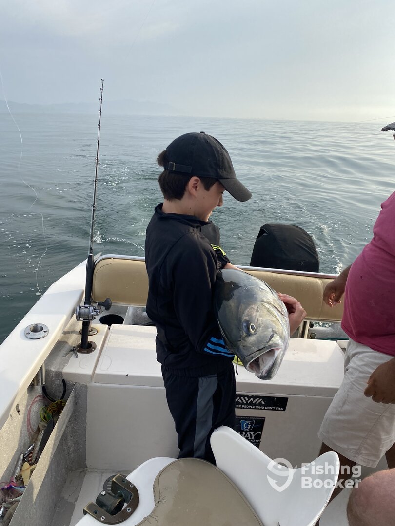 Puerto Vallarta Report Photo 0