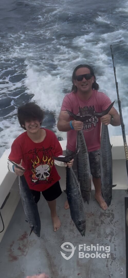 Honolulu Report Photo 0