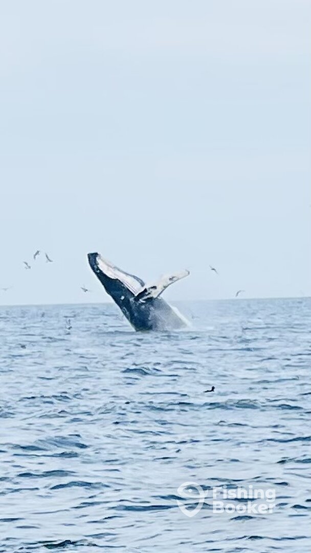 Truro Report Photo 0