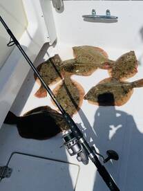 Truro Report Photo 1