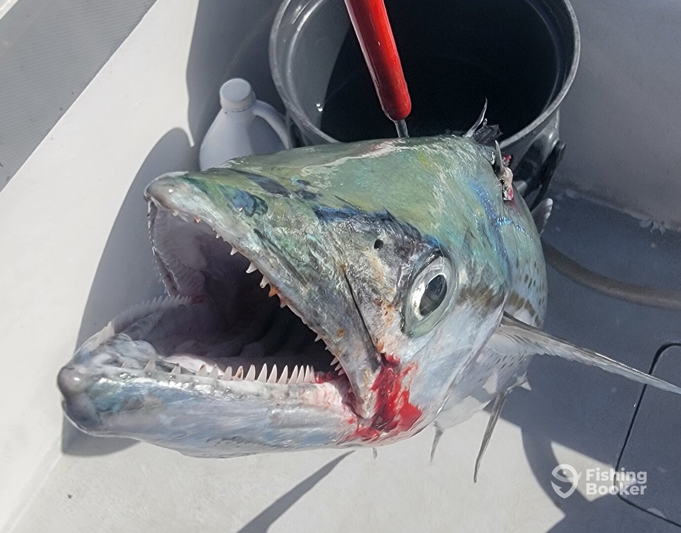 San Juan Report Photo 0