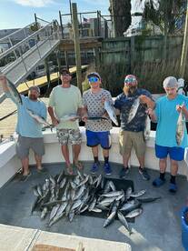 Soanish mackerel and Atlantic bonitos 