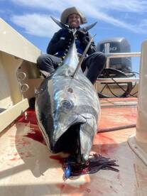 Bluefin tuna are still inshore 