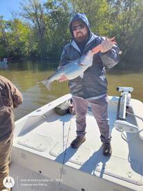 Lake Gaston Report Photo 4