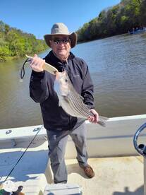 Triple digit striper fishin!!!