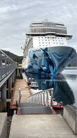 Ketchikan Report Photo 1