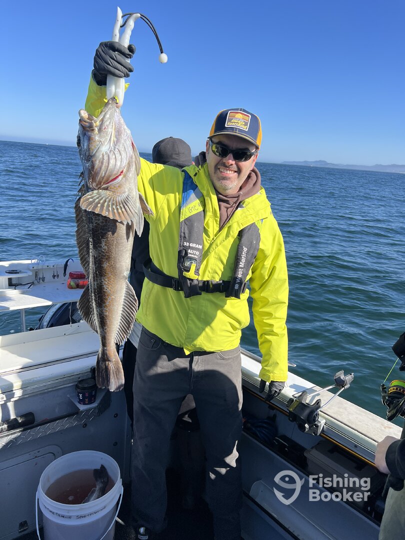 Newport Report Photo 0