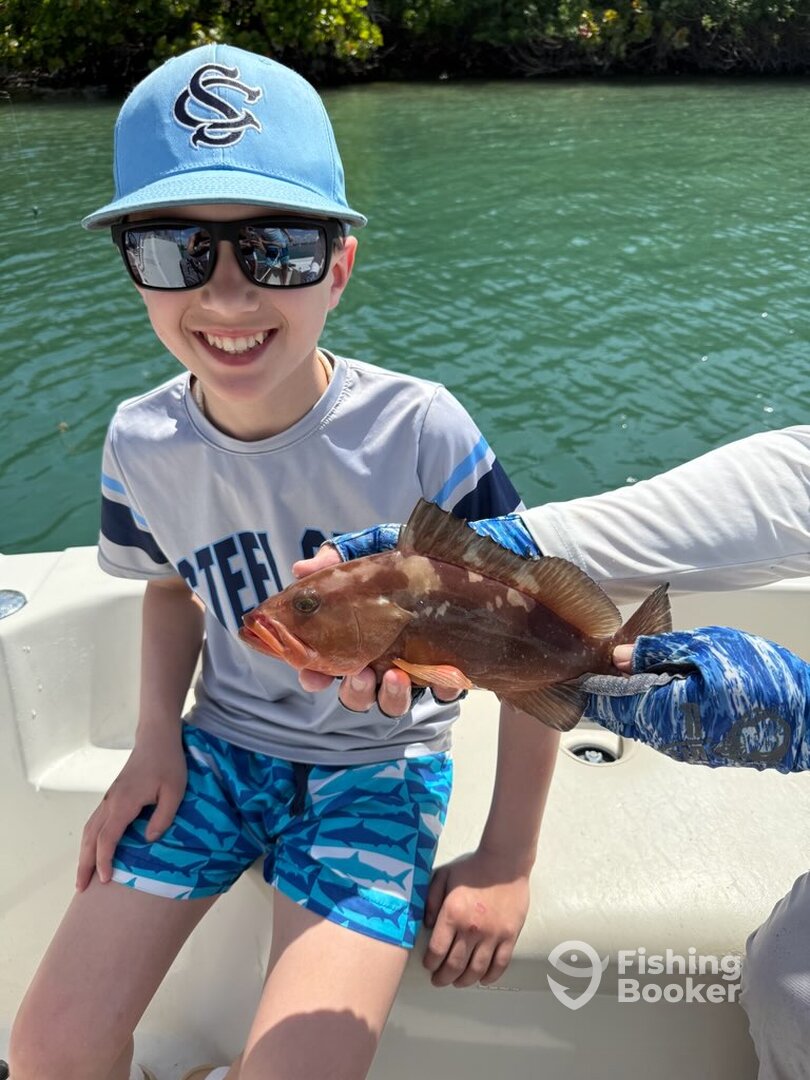 Jupiter Report Photo 0