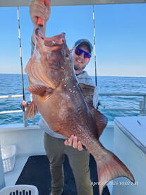 The water is warming up and the fish are