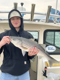 Saugerties Report Photo 1