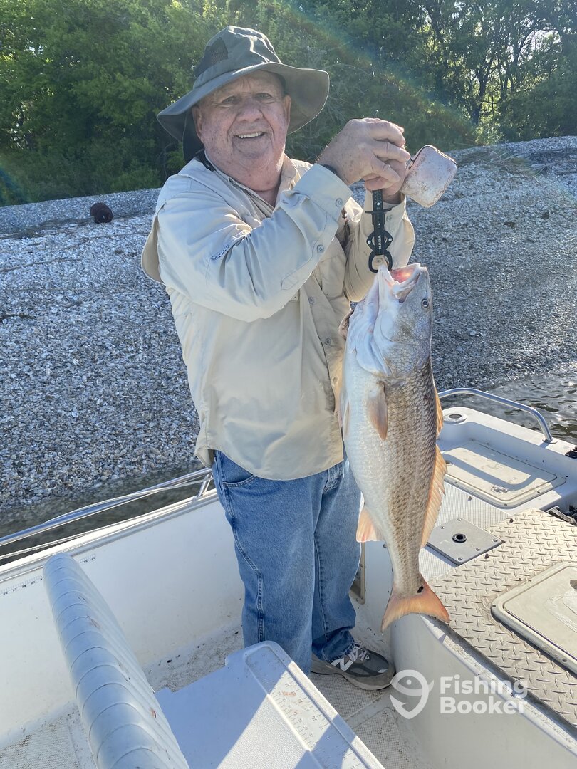 Port Arthur Report Photo 0