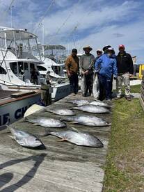 Nags Head Report Photo 2