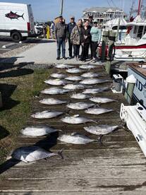 Yellowfin and Blackfin Tuna Fishing
