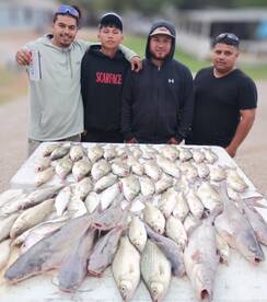 Graford Report Photo 2