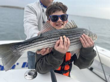 New York City Report Photo 1