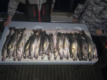 Monroe Report Photo 2