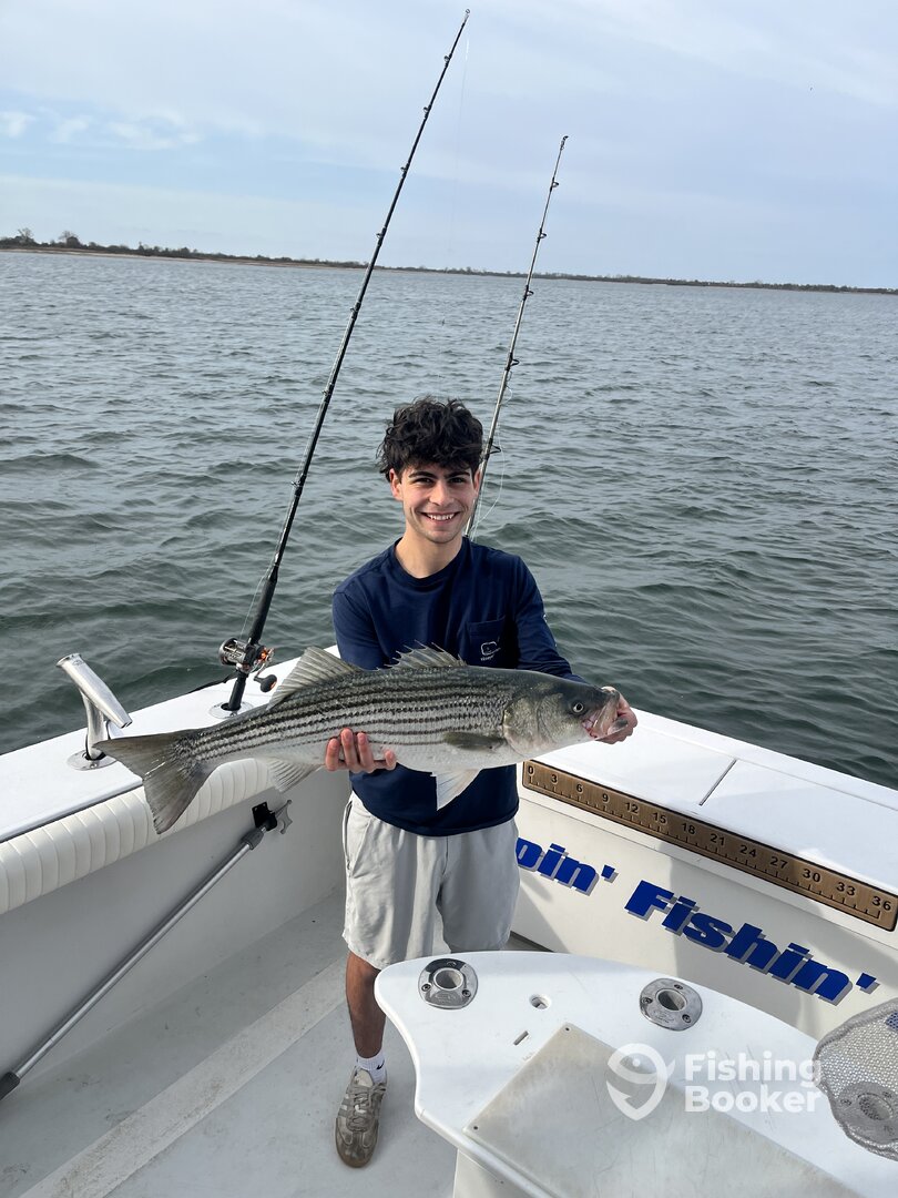 New York City Report Photo 0