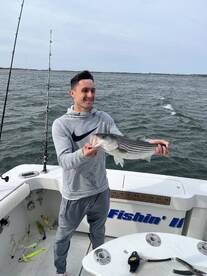 New York City Report Photo 2