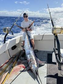 Honolulu Report Photo 1