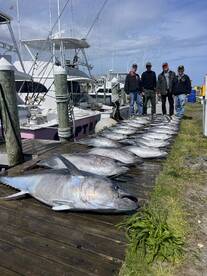 Nags Head Report Photo 1