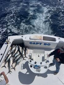 Nags Head Report Photo 2