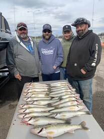 Monroe Report Photo 1