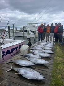 Limit of Yellowfin!