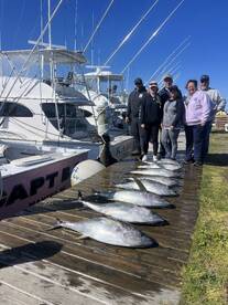 Nice Catch of Yellowfin!
