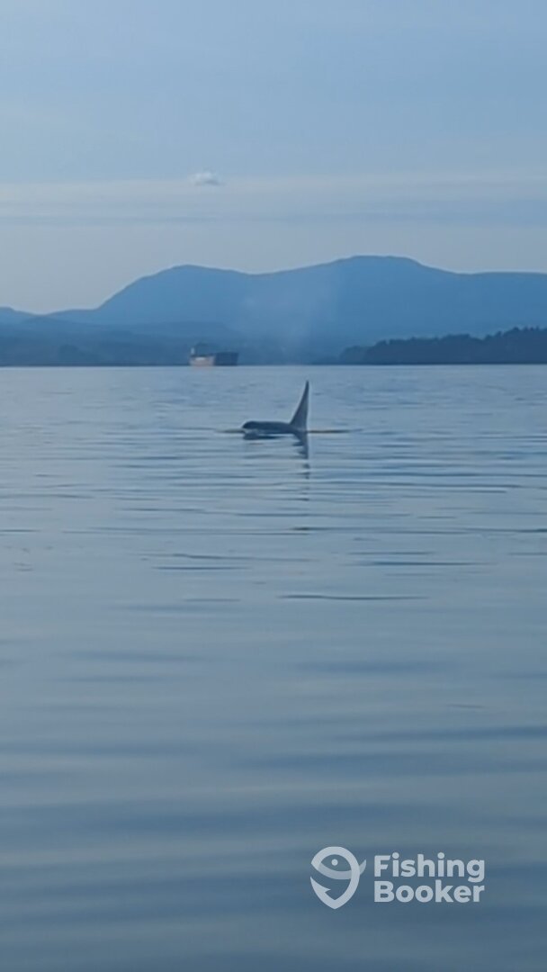 Ladysmith Report Photo 0