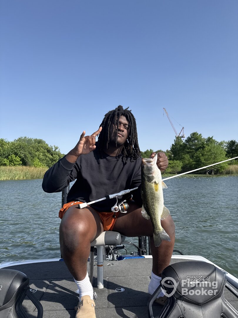 Austin Report Photo 0