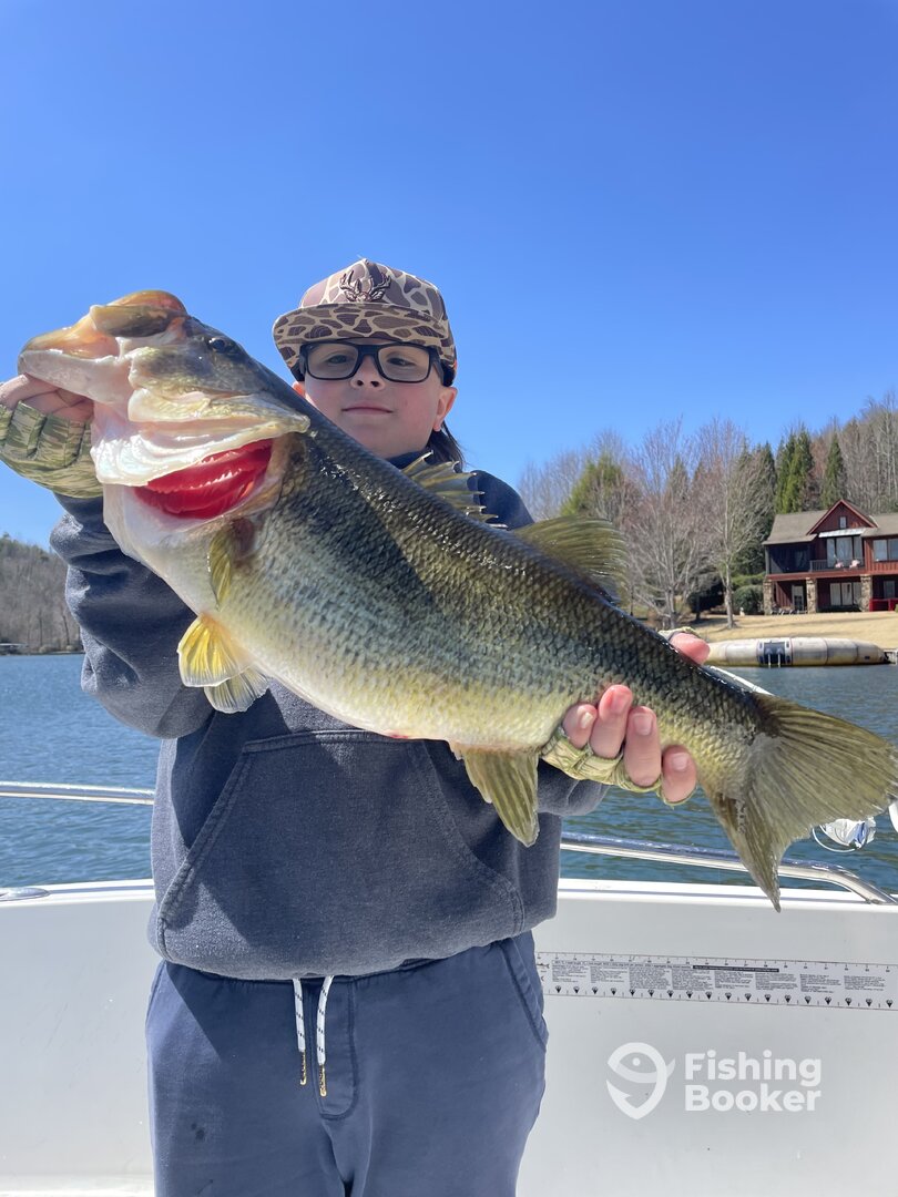 Mount Airy Report Photo 0