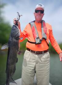 Males turning jet black for spawn 