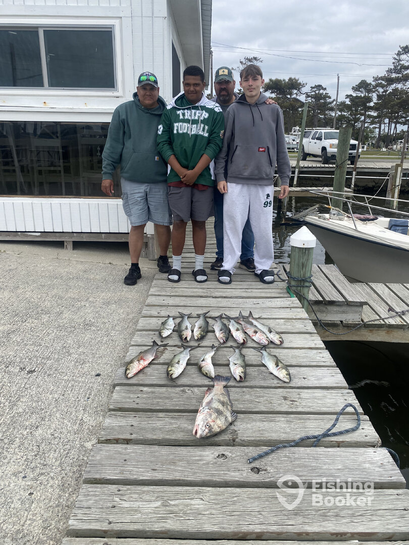 Wanchese Report Photo 0