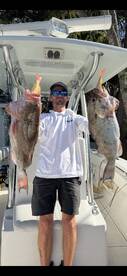 Non stop grouper and snapper action