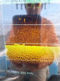 San Antonio Report Photo 1