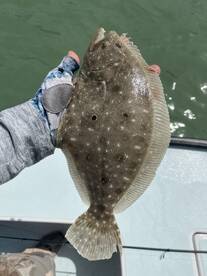 St. Petersburg Report Photo 1