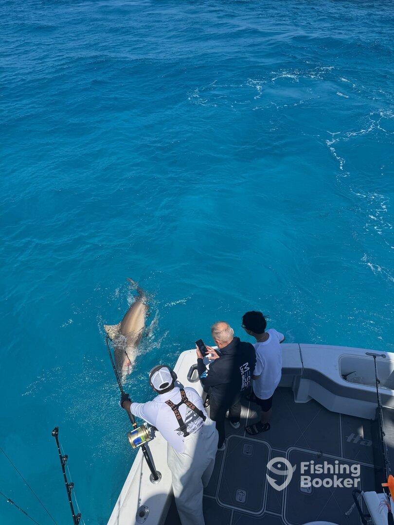 Miami Beach Report Photo 0